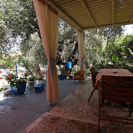 Skála KallirákhisJoanna'S House别墅 外观 照片